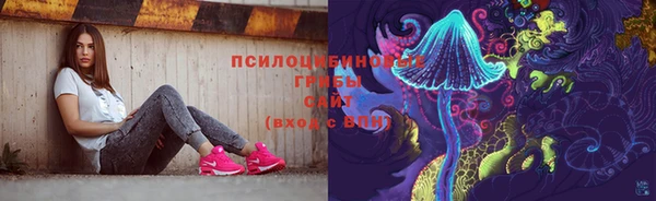 соль ск Липки