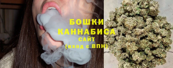 соль ск Липки